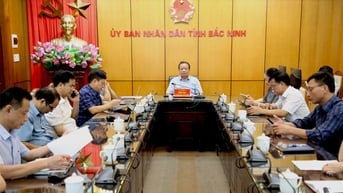 Hướng dẫn về phân cấp, phân quyền trong lĩnh vực nông nghiệp và môi trường