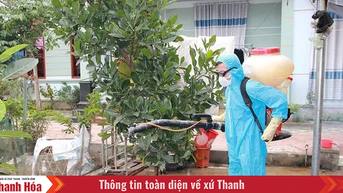 Bảo đảm an toàn dịch bệnh cho đàn vật nuôi