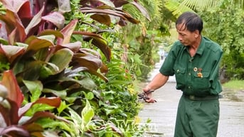Hai thương binh, một tấm lòng