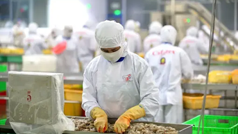 ការ​នាំ​ចេញ​គ្រឿង​សមុទ្រ​អាច​នឹង​ត្រូវ​កែ​សម្រួល​ចំណូល​ដោយសារ​គោលនយោបាយ​ពន្ធ​របស់​សហរដ្ឋ​អាមេរិក