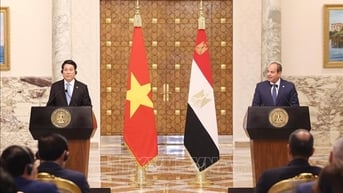 Tuyên bố chung về việc nâng cấp quan hệ lên Đối tác Toàn diện giữa nước CHXHCN Việt Nam và Cộng hoà Arập Ai Cập