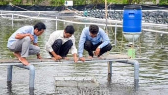 Nguyễn Việt Khái - Phủ xanh đất mặn, phát triển thủy sản bền vững