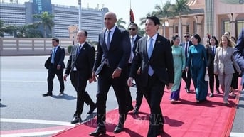 Chủ tịch nước kết thúc chuyến thăm Ai Cập, lên đường thăm Angola