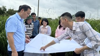 Đông Kinh đẩy nhanh giải phóng mặt bằng