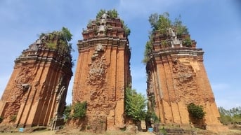 Nghiên cứu khai quật khảo cổ cụm tháp Chăm Dương Long
