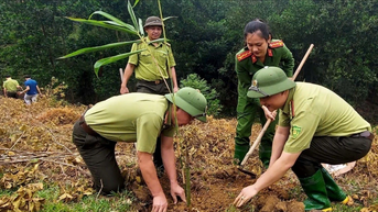 Lao Cai ពង្រឹងការគ្រប់គ្រង និងការពារព្រៃឈើ
