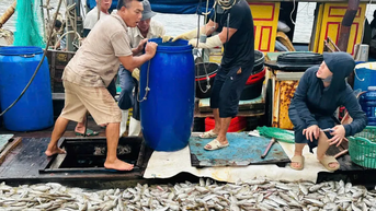 អ្នកនេសាទ Nghe An ចាប់បានត្រីសមុទ្រដ៏ធំមួយក្បាល
