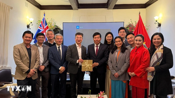 Dự án VietNEST - 'tổ ấm công nghệ' giữ lửa tiếng Việt tại Australia