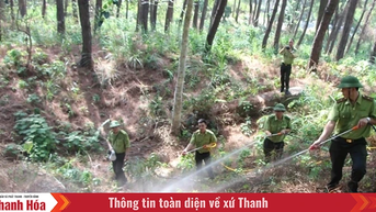 ការព្យាករណ៍ និងព័ត៌មានអំពីភ្លើងឆេះព្រៃ ចាប់ពីថ្ងៃទី៩ ដល់ថ្ងៃទី១១ ខែសីហា
