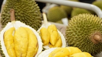 Giá sầu riêng hôm nay 9/8: Sầu Thái giảm, Ri6 giữ giá