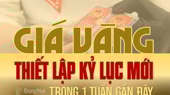 [Infographic] Một tuần biến động mạnh, giá vàng liên tục lập đỉnh lịch sử