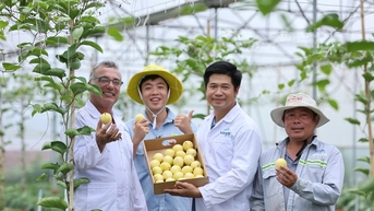 Hành trình kết nối vùng trồng của doanh nhân trẻ