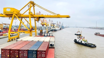 ទំនិញឆ្លងកាត់កំពង់ផែ Hai Phong កើនឡើង 8%