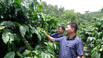 Ấm no ở xóm Làng Dao hôm nay