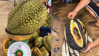 អាំង​ទុរេន​ជ្រូក​១១​គីឡូក្រាម យុវជន​រូប​នេះ​ភ្ញាក់​ផ្អើល​នឹង​រសជាតិ