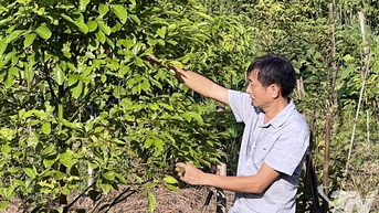 បុគ្គលដែល 'សាបព្រោះ' គ្រាប់ពូជនៃសេចក្តីស្រឡាញ់នៅក្នុងបេះដូងនៃទីក្រុង