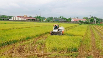 ឆ្ពោះទៅរកកសិកម្មបៃតង និរន្តរភាព