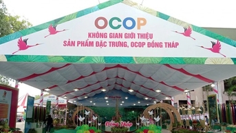 ពាណិជ្ជកម្មដុងថាប៖ ពន្លឿនការធ្វើឌីជីថល ពង្រីកខ្សែសង្វាក់តម្លៃ