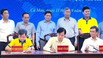 Ca Mau ដាក់ពង្រាយគំរូចិញ្ចឹមបង្គាដែលពឹងផ្អែកខ្លាំងលើផ្ទៃដី 1,500 ហិកតា