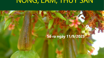 Bản tin Thị trường Nông lâm thủy sản số ra ngày 11/9/2025