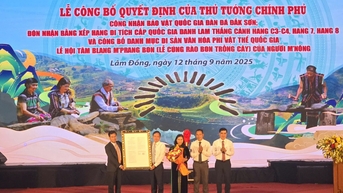 លីថូផុន Dak Son នៅ Lam Dong ត្រូវបានទទួលស្គាល់ថាជាសម្បត្តិជាតិ