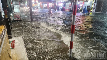 Đêm nay, rạng sáng 12/9, Tuyên Quang đề phòng lũ quét, sạt lở đất do mưa lớn