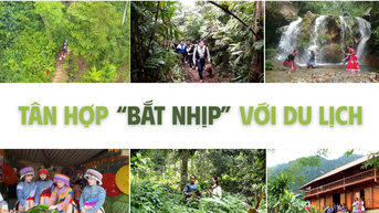 Tân Hợp “bắt nhịp” với du lịch