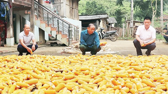 Người “gác cổng” pháp luật ở bản Cò Chịa
