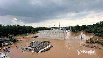Nước sông Buông dâng cao, thi công đường cao tốc Biên Hòa - Vũng Tàu bị gián đoạn