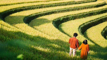 Trải nghiệm du lịch bản Lìm Mông: Hành trình khám phá thiên nhiên và văn hóa Tây Bắc