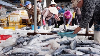 Bộ trưởng Bộ Công Thương gửi thư đề nghị Hoa Kỳ xem xét khách quan về thương mại thủy sản