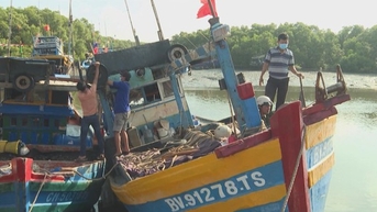Giá hải sản giảm mạnh, ngư dân gặp nhiều khó khăn