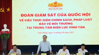 ស្វែងរកដំណោះស្រាយជាមូលដ្ឋានដើម្បីការពារបរិស្ថាននៅមជ្ឈមណ្ឌលថាមពល Vinh Tan