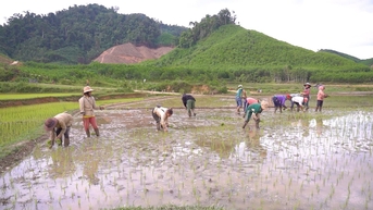 Động lực phát triển miền núi: Trợ lực từ chính sách