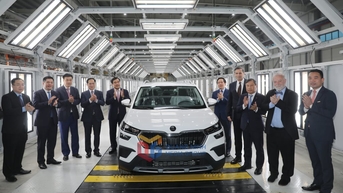 ការរំពឹងទុកពីគំរូរីកលូតលាស់ cinnamon សរីរាង្គ