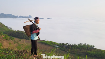 Chàng trai người Mông và hành trình đưa bà con cùng thoát nghèo