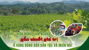 អភិវឌ្ឍវិស័យកសិកម្ម និងព្រៃឈើផ្សារភ្ជាប់ទៅនឹងខ្សែសង្វាក់តម្លៃនៅតំបន់ជនជាតិភាគតិច និងតំបន់ភ្នំ