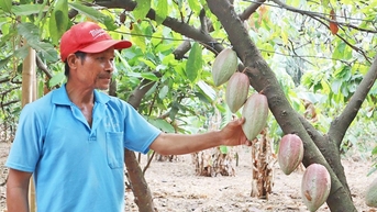 Trước bước ngoặt đổi mới