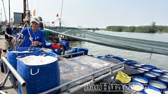 Thôn Quang Thịnh đi lên từ biển