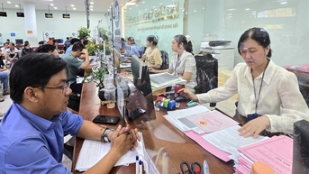 TP.HCM tiếp tục cử 206 viên chức giúp 168 xã, phường cấp sổ hồng
