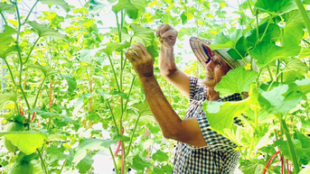 Hướng đến nền nông nghiệp bền vững