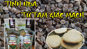 Tinh hoa từ Tam giác mạch