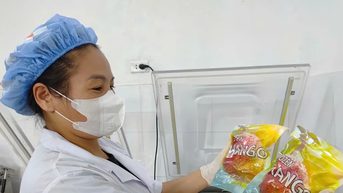 Phú Thọ: Xuất khẩu xoài cấp đông đầu tiên sang thị trường Hàn Quốc