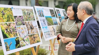 Hành trình phụng sự và sáng tạo