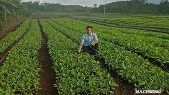 ការ​នាំ​ចេញ​បន្លែ និង​ផ្លែ​ឈើ​ក្នុង​រយៈ​ពេល ៩​ខែ​ដើម​ឆ្នាំ​២០២៥ នឹង​កើន​ដល់​ជាង ៦​ពាន់​លាន​ដុល្លារ