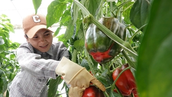 Cơ hội và thách thức đối với nông sản