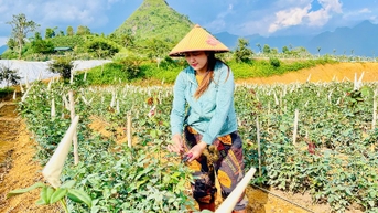 Hành trình mang dấu ấn “tam nông”