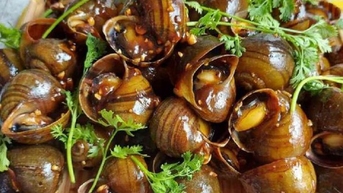 쌀쌀한 가을날에 딱 맞는 따뜻한 달팽이 요리, 먹으면 중독될 거예요