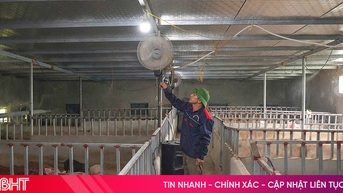 An toàn sinh học, lợi ích "kép” cho chăn nuôi nông hộ