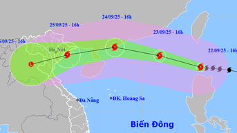 Đà Nẵng chủ động ứng phó siêu bão Ragasa, đề phòng xảy ra dông lốc, sét